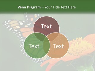 Beautiful Gorgeous Nature PowerPoint Template