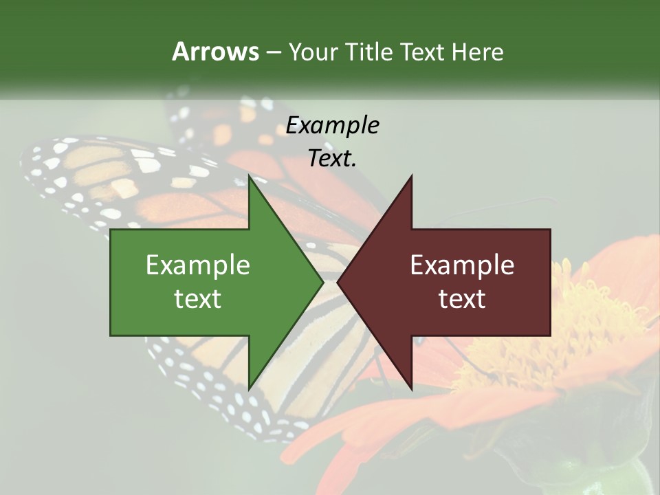 Beautiful Gorgeous Nature PowerPoint Template
