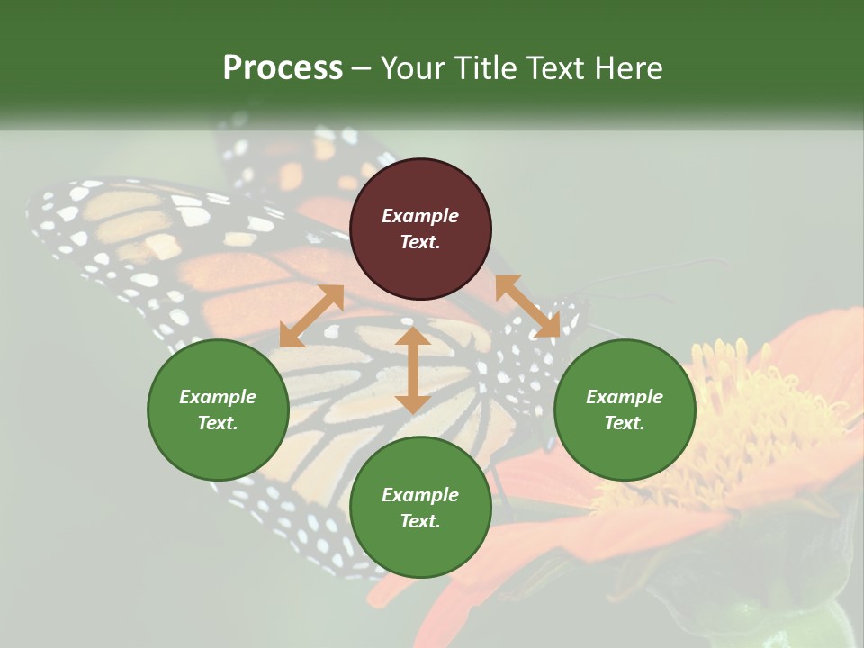 Beautiful Gorgeous Nature PowerPoint Template