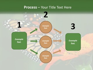 Beautiful Gorgeous Nature PowerPoint Template