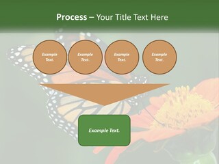 Beautiful Gorgeous Nature PowerPoint Template