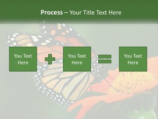 Beautiful Gorgeous Nature PowerPoint Template