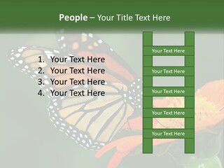 Beautiful Gorgeous Nature PowerPoint Template