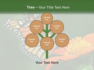 Beautiful Gorgeous Nature PowerPoint Template