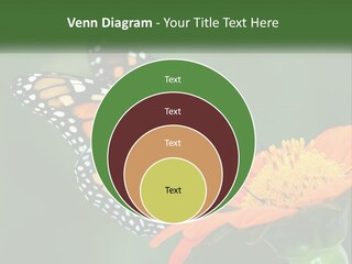 Beautiful Gorgeous Nature PowerPoint Template