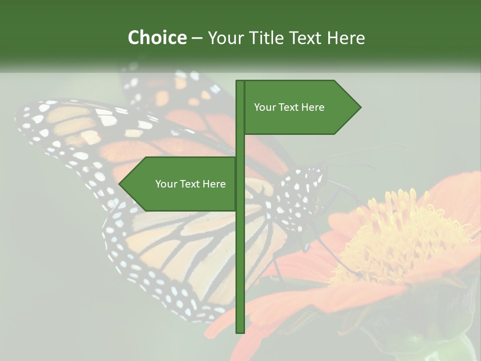 Beautiful Gorgeous Nature PowerPoint Template