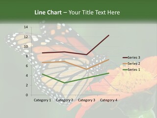 Beautiful Gorgeous Nature PowerPoint Template