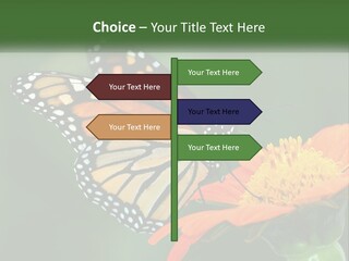 Beautiful Gorgeous Nature PowerPoint Template