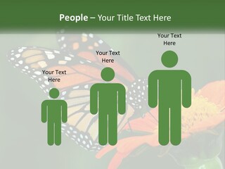 Beautiful Gorgeous Nature PowerPoint Template