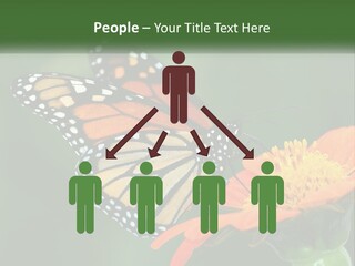 Beautiful Gorgeous Nature PowerPoint Template