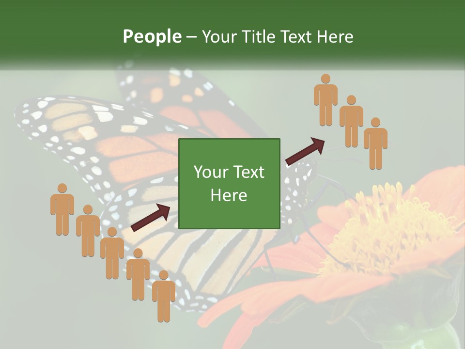 Beautiful Gorgeous Nature PowerPoint Template