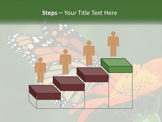 Beautiful Gorgeous Nature PowerPoint Template