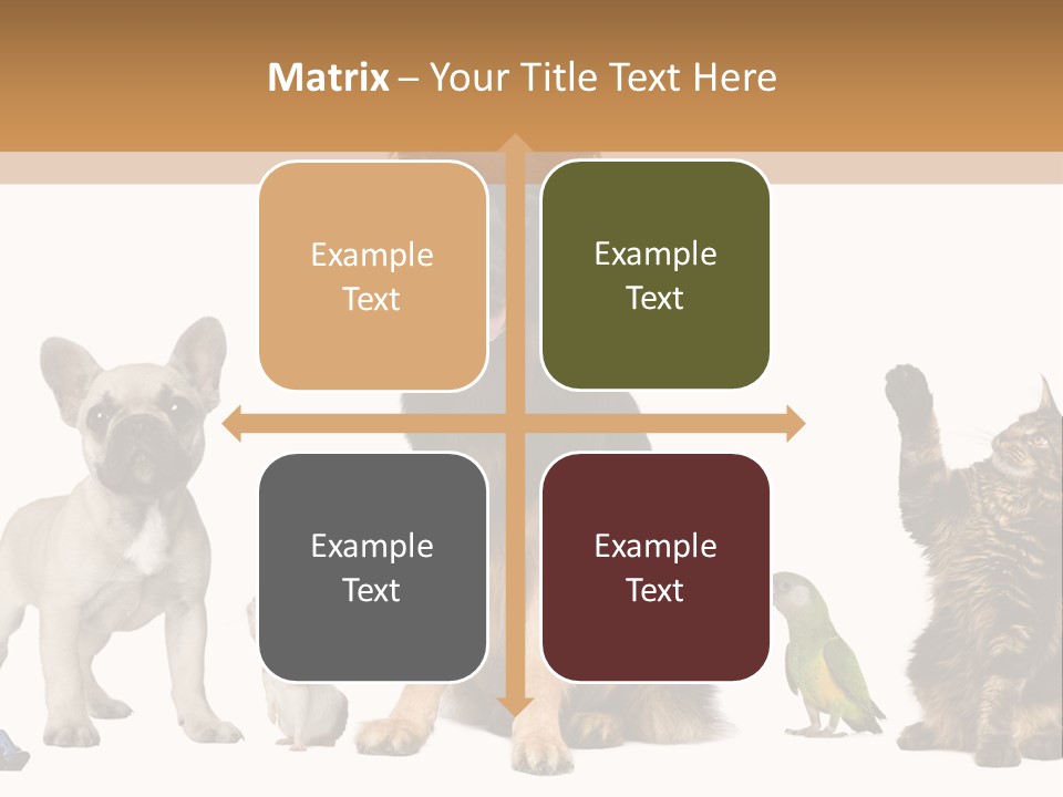 Pet Dart Guinea Pig PowerPoint Template