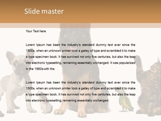 Pet Dart Guinea Pig PowerPoint Template
