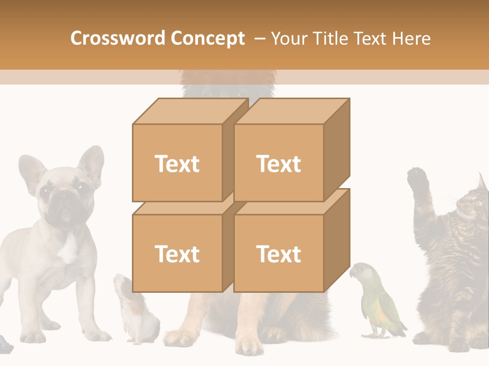 Pet Dart Guinea Pig PowerPoint Template