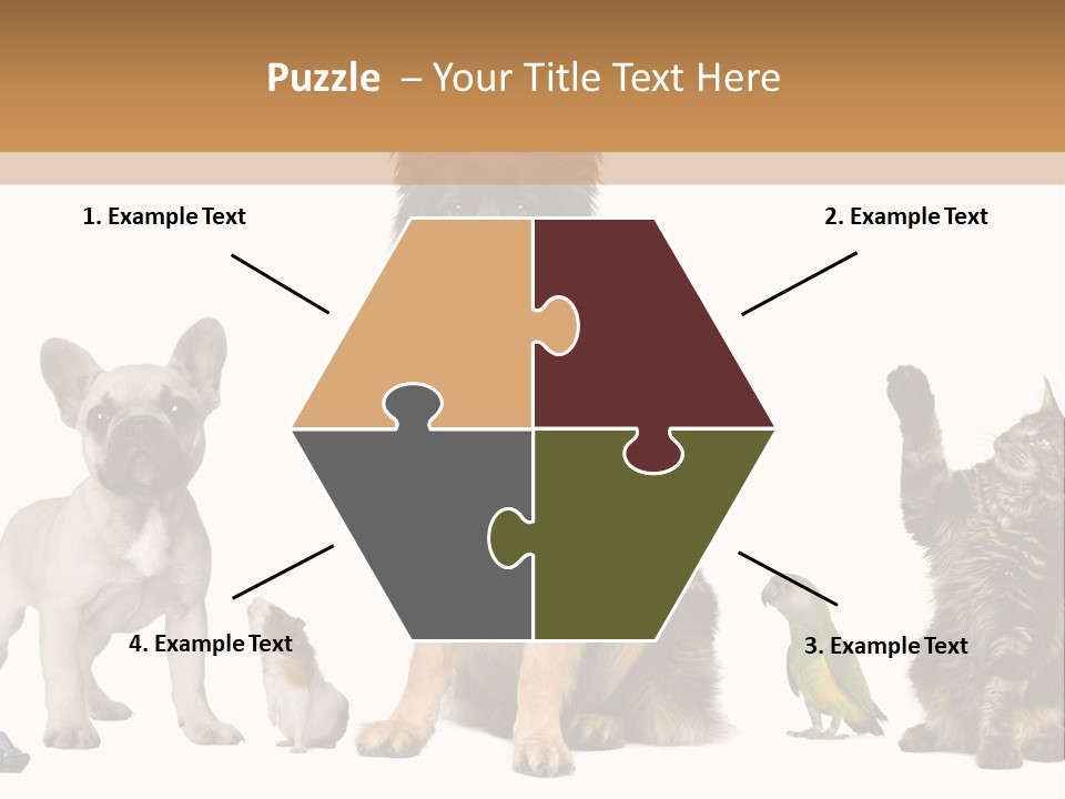 Pet Dart Guinea Pig PowerPoint Template