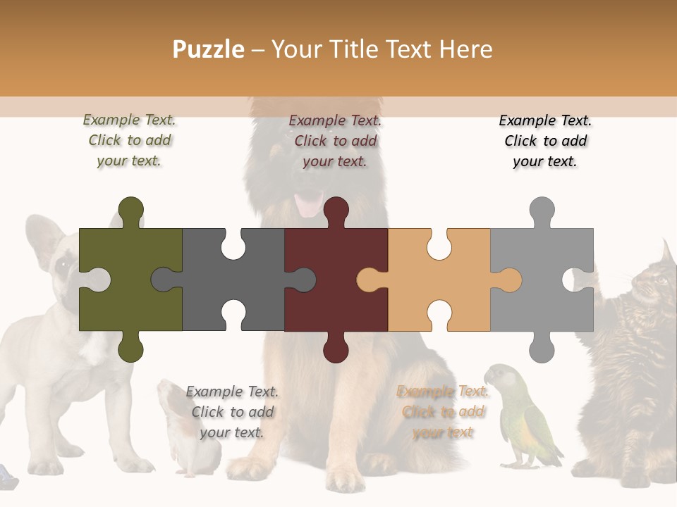 Pet Dart Guinea Pig PowerPoint Template