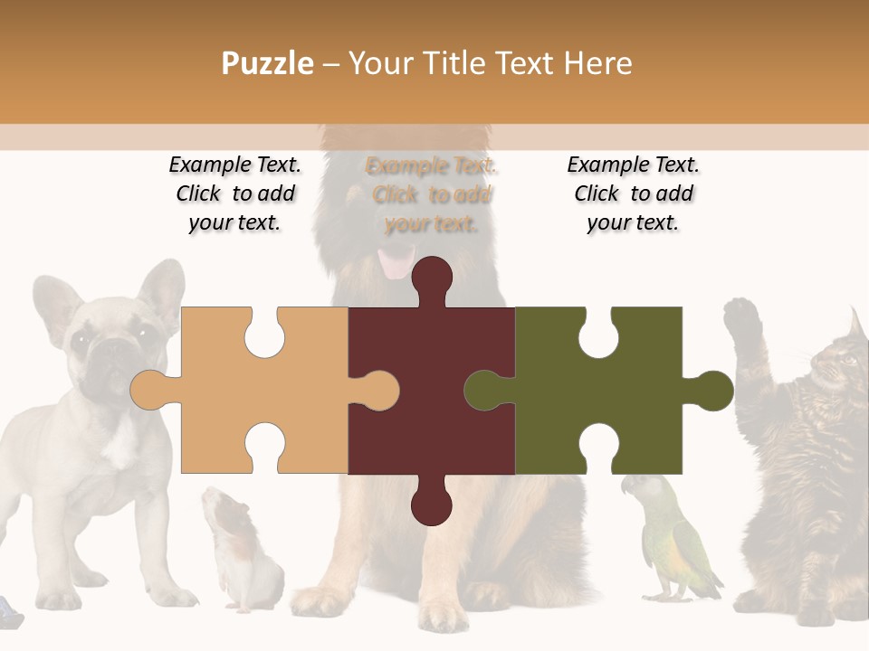 Pet Dart Guinea Pig PowerPoint Template