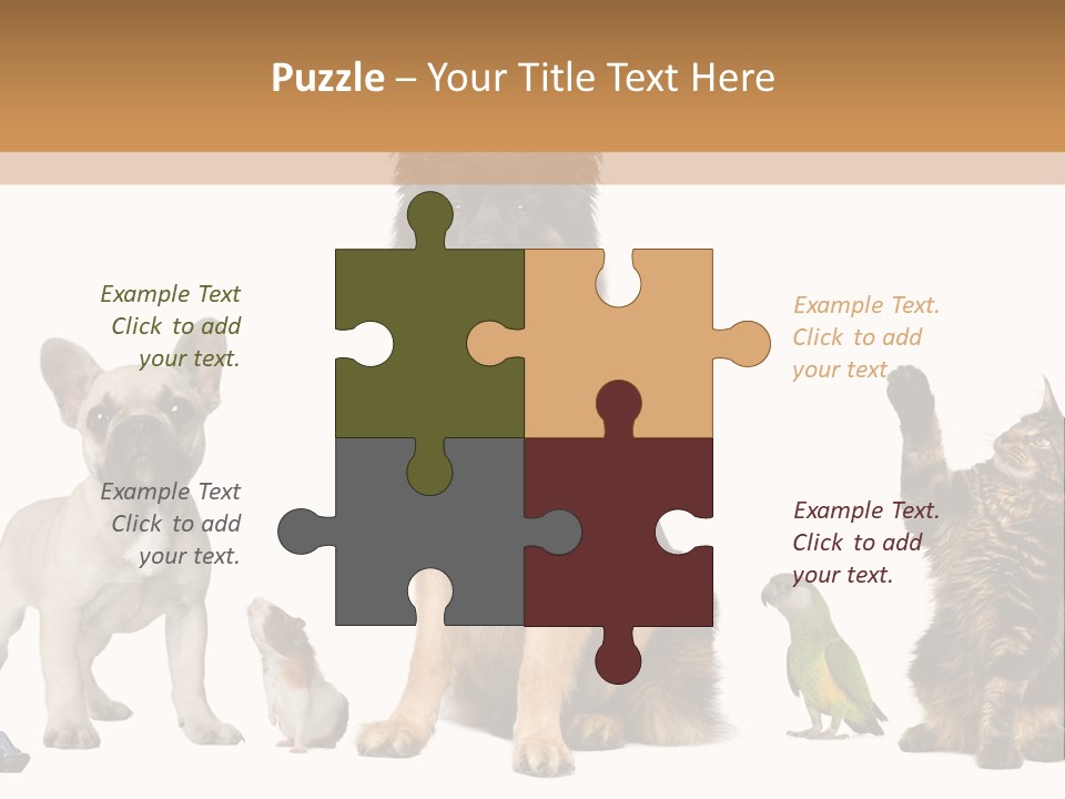 Pet Dart Guinea Pig PowerPoint Template