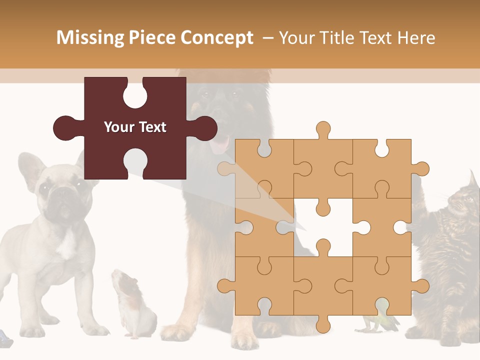 Pet Dart Guinea Pig PowerPoint Template