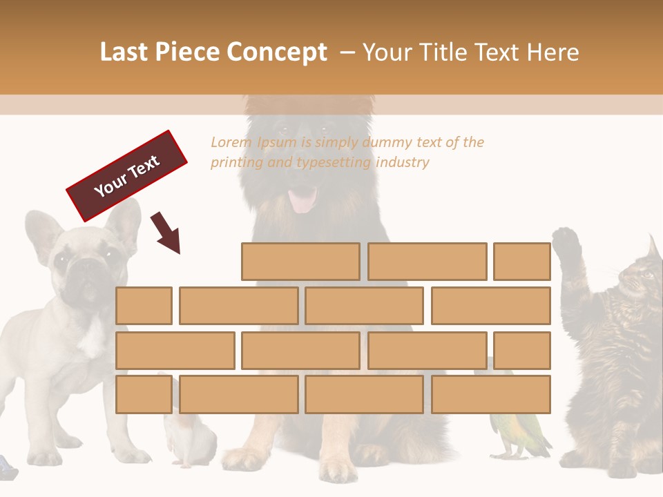 Pet Dart Guinea Pig PowerPoint Template