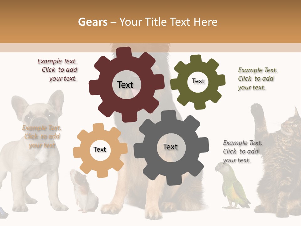 Pet Dart Guinea Pig PowerPoint Template