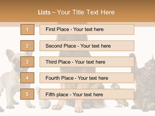 Pet Dart Guinea Pig PowerPoint Template
