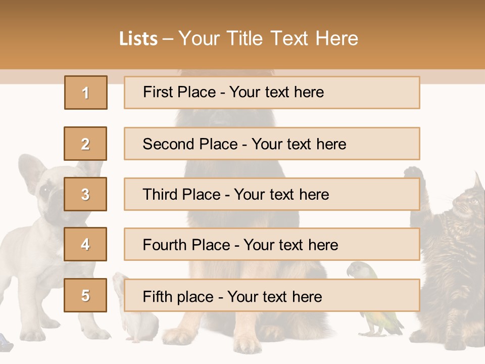 Pet Dart Guinea Pig PowerPoint Template