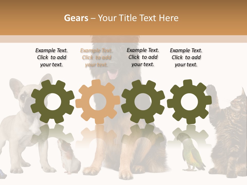 Pet Dart Guinea Pig PowerPoint Template