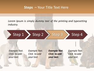 Pet Dart Guinea Pig PowerPoint Template