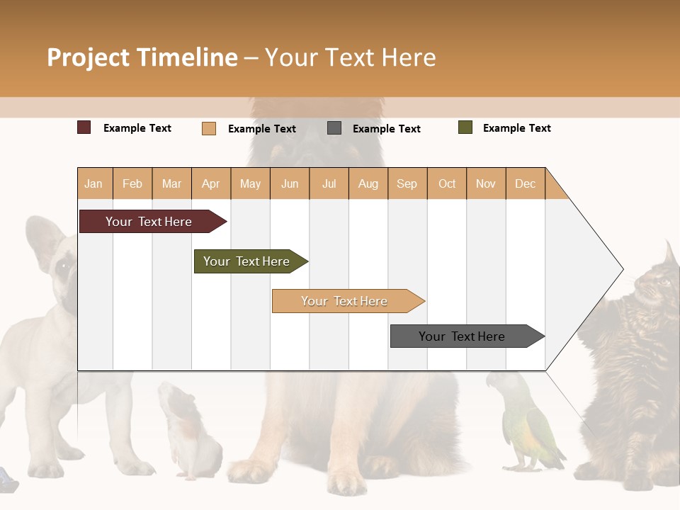 Pet Dart Guinea Pig PowerPoint Template