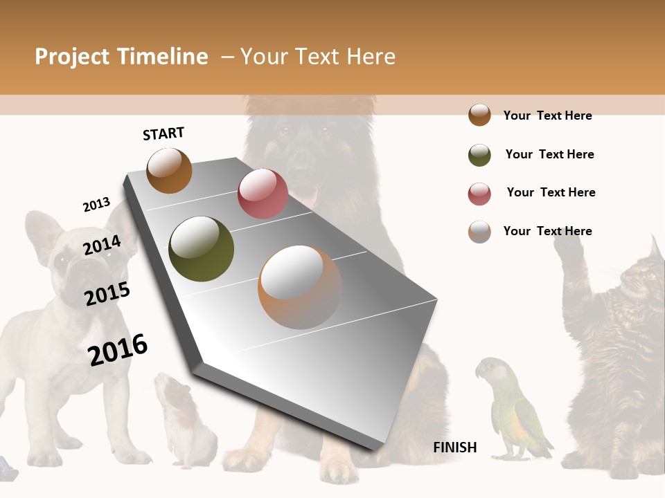 Pet Dart Guinea Pig PowerPoint Template
