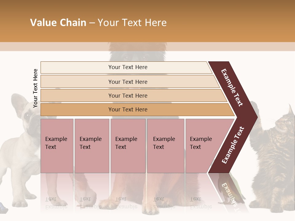 Pet Dart Guinea Pig PowerPoint Template