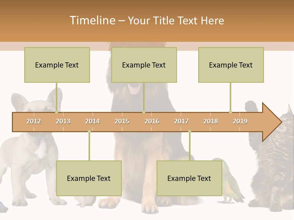 Pet Dart Guinea Pig PowerPoint Template