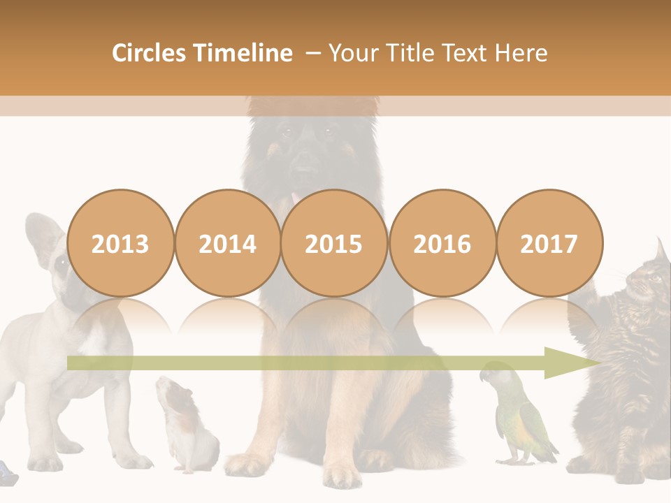 Pet Dart Guinea Pig PowerPoint Template