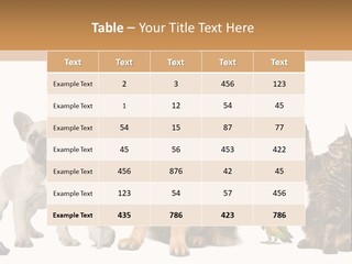 Pet Dart Guinea Pig PowerPoint Template