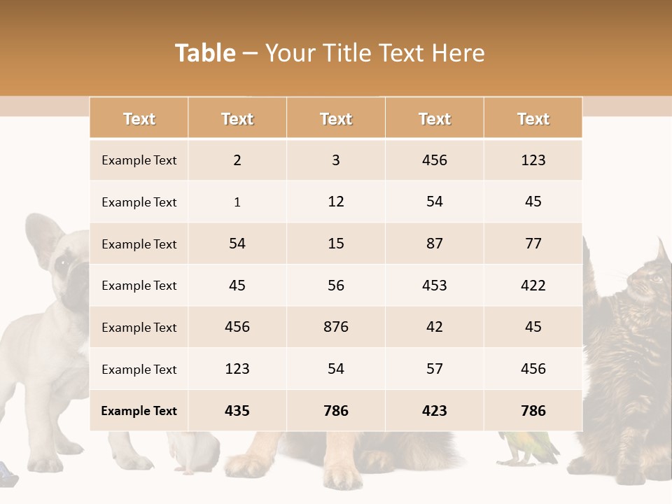 Pet Dart Guinea Pig PowerPoint Template