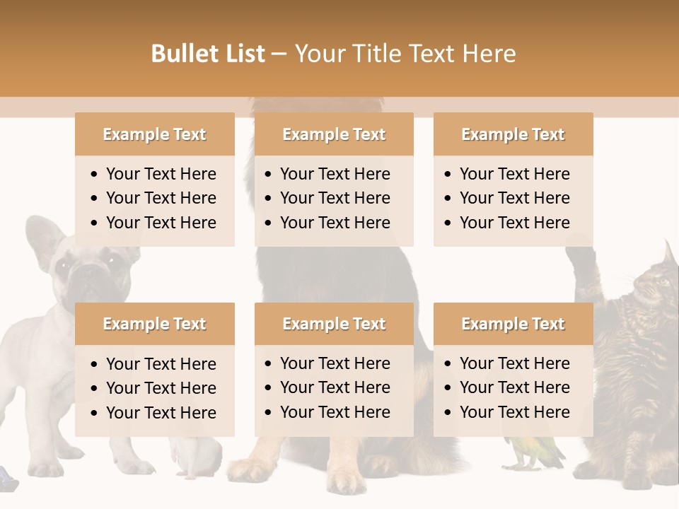 Pet Dart Guinea Pig PowerPoint Template