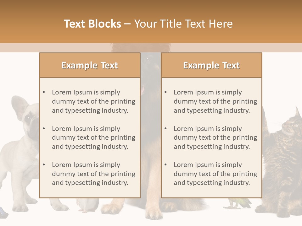 Pet Dart Guinea Pig PowerPoint Template