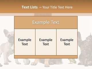 Pet Dart Guinea Pig PowerPoint Template