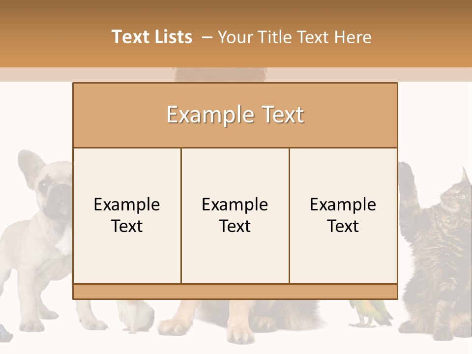 Pet Dart Guinea Pig PowerPoint Template