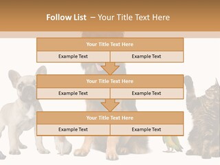 Pet Dart Guinea Pig PowerPoint Template