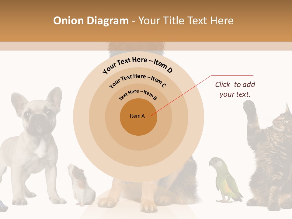 Pet Dart Guinea Pig PowerPoint Template