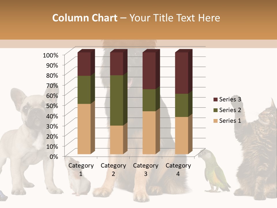 Pet Dart Guinea Pig PowerPoint Template