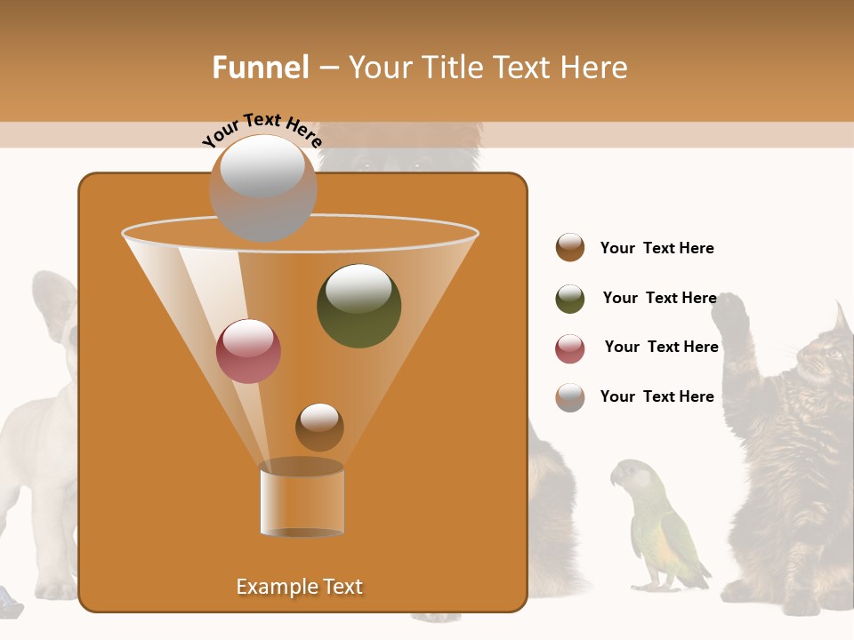 Pet Dart Guinea Pig PowerPoint Template