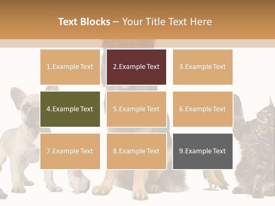 Pet Dart Guinea Pig PowerPoint Template