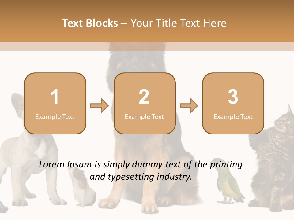 Pet Dart Guinea Pig PowerPoint Template