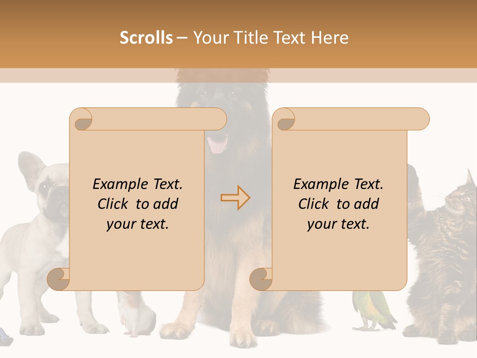 Pet Dart Guinea Pig PowerPoint Template