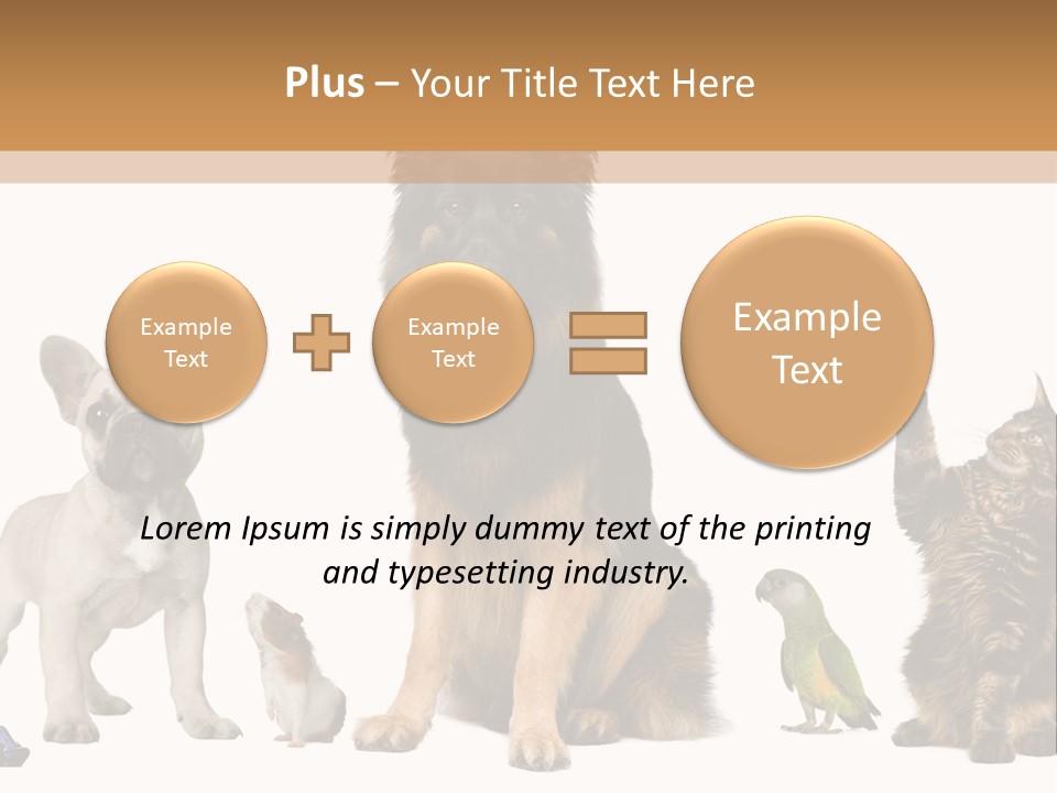 Pet Dart Guinea Pig PowerPoint Template