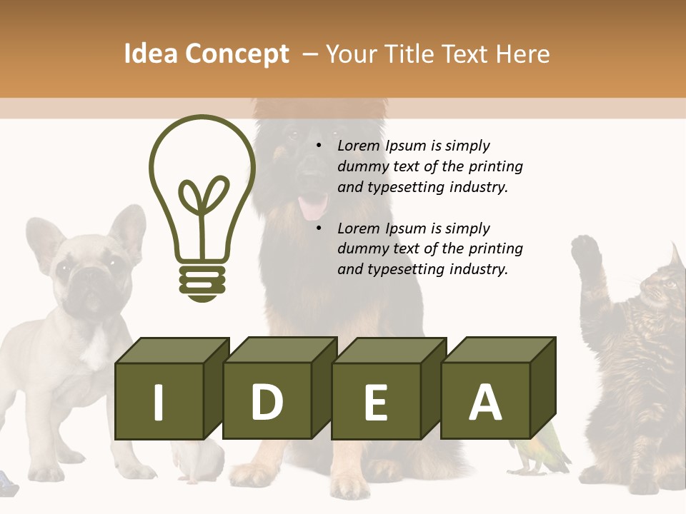 Pet Dart Guinea Pig PowerPoint Template